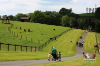 /album/fotogalerie-farma-park-sobehrdy/farmapark-sobehrdy5-jpg/